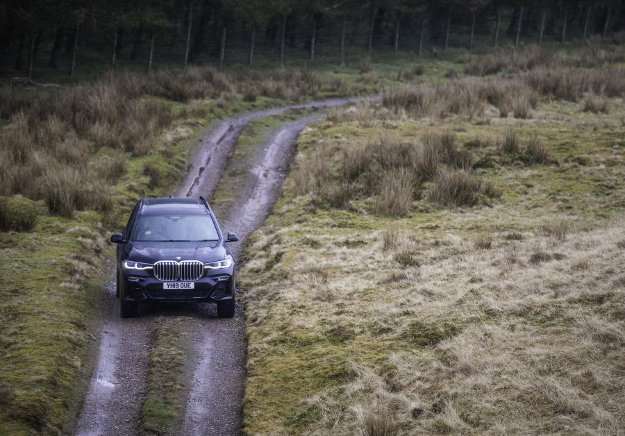  BMW X7 xDrive30d M Sport (G07) 2019 года  (UK) (фото 11 из 40)